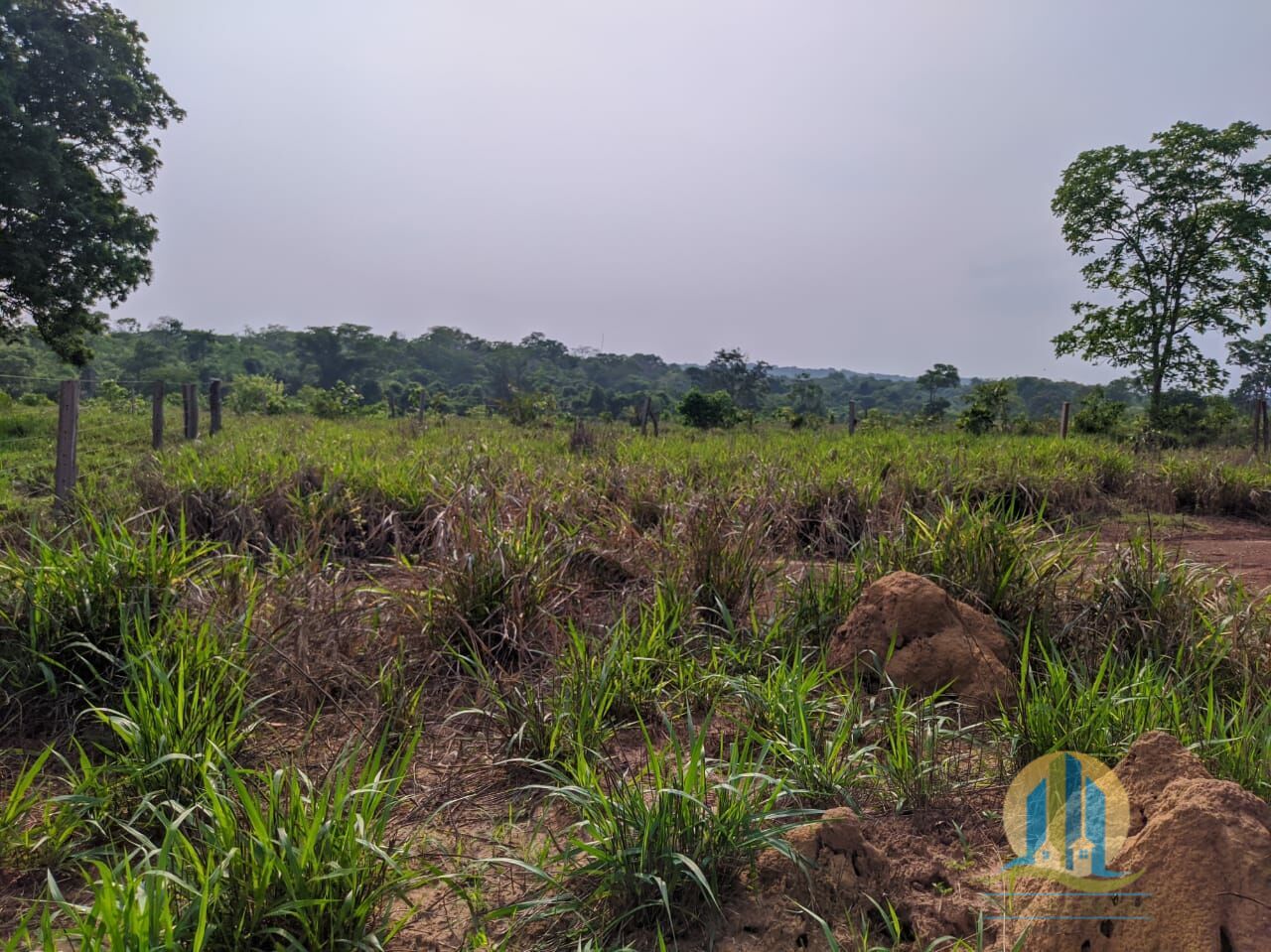 Fazenda em Itacajá/Tocantins — Ref IXI0HO — Imagem 7
