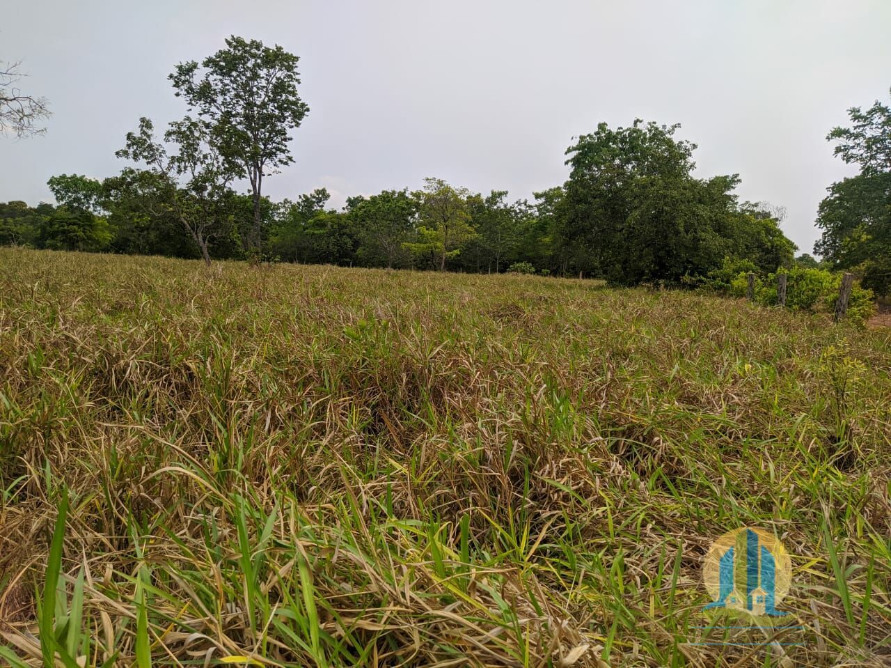 Fazenda em Itacajá/Tocantins — Ref IXI0HO — Imagem 8