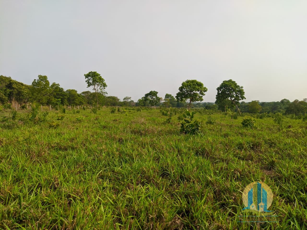 Fazenda em Itacajá/Tocantins — Ref IXI0HO — Imagem 4
