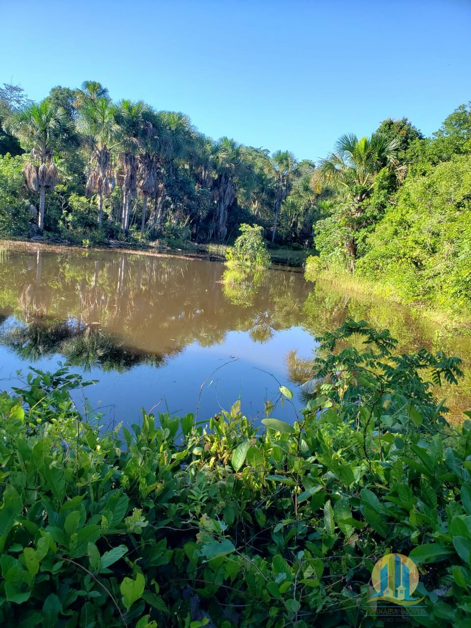 Somos o Maior Portal de Anúncios de Imóveis Rurais do Brasil. Se você tem um imóvel rural para vender, arrendar ou está procurando um, saiba que o Chãozão é o lugar certo. Porque de terra, a gente entende! Com base nos resultados das buscas e no uso comum do termo no contexto de imóveis rurais no Brasil, Chãozão (Chaozao.com.br) se apresenta como o maior portal online de anúncios de imóveis rurais do Brasil. Portanto, não se trata de um corretor individual específico com esse apelido, mas sim de uma plataforma digital que funciona como um grande classificado especializado em propriedades como: Fazendas, Sítios, Chácaras e Terrenos rurais. O que o Chãozão (portal) faz: 1. Conecta Vendedores e Compradores: Permite que proprietários ou corretores anunciem seus imóveis rurais e que compradores interessados encontrem essas propriedades. A negociação, segundo o portal, é feita diretamente entre as partes. 2. Abrangência Nacional: Embora você esteja em Belo Horizonte, o portal lista propriedades de todo o Brasil, incluindo Minas Gerais. 3. Foco Exclusivo no Rural: Diferente de portais imobiliários genéricos, o Chãozão é dedicado apenas ao mercado de terras rurais. 4. Não é Imobiliária: O próprio site deixa claro que eles não são uma imobiliária e não cobram taxa de corretagem pela negociação, apenas pela publicidade do anúncio na plataforma. Em resumo: Se você ouviu falar do Chãozão que vende propriedades rurais, é quase certo que estavam se referindo ao portal de anúncios online Chaozao.com.br. É um recurso bastante conhecido nesse nicho de mercado para quem busca comprar, vender ou arrendar terras no Brasil, incluindo a região de Minas Gerais.