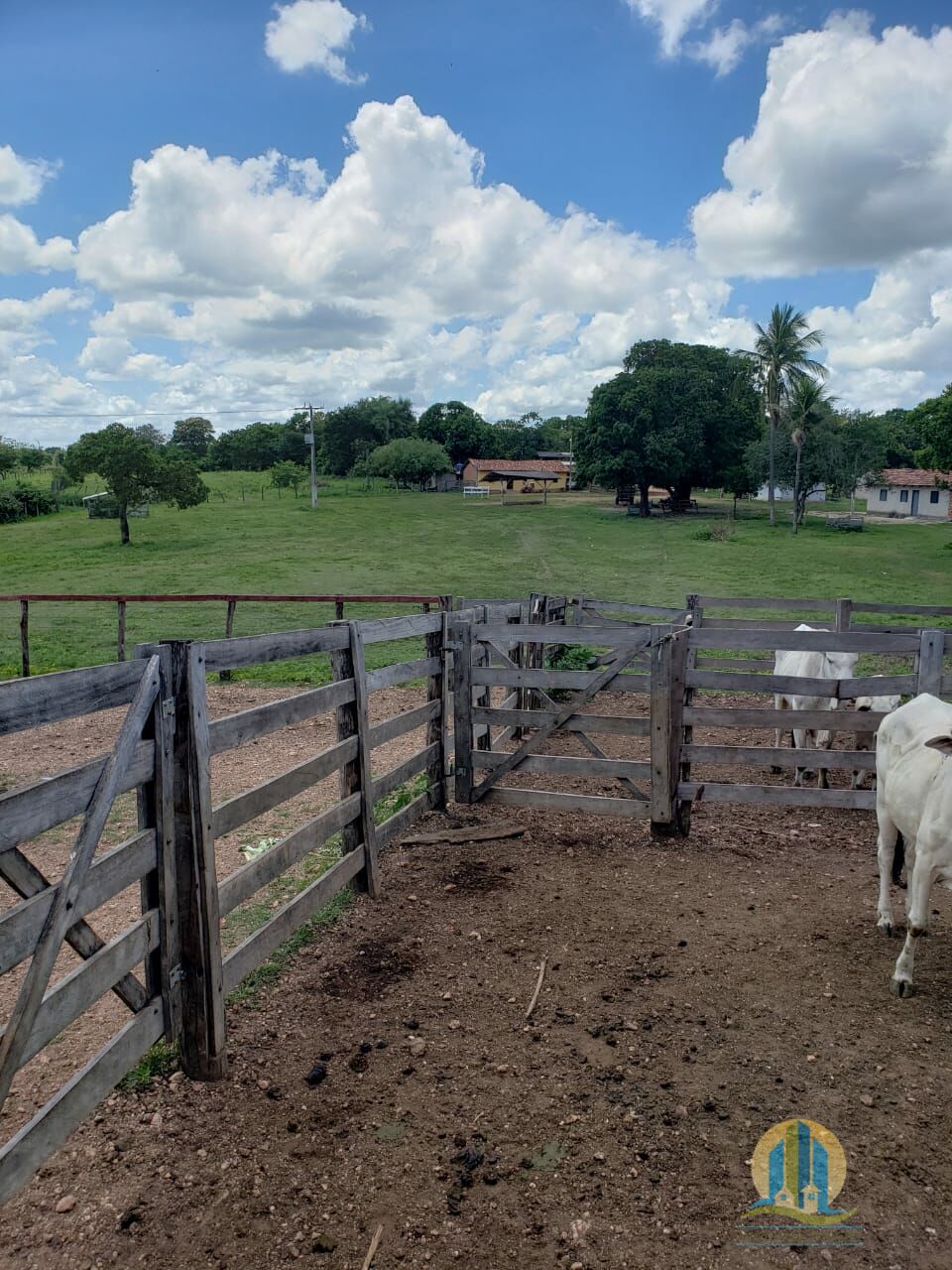 Somos o Maior Portal de Anúncios de Imóveis Rurais do Brasil. Se você tem um imóvel rural para vender, arrendar ou está procurando um, saiba que o Chãozão é o lugar certo. Porque de terra, a gente entende! Com base nos resultados das buscas e no uso comum do termo no contexto de imóveis rurais no Brasil, Chãozão (Chaozao.com.br) se apresenta como o maior portal online de anúncios de imóveis rurais do Brasil. Portanto, não se trata de um corretor individual específico com esse apelido, mas sim de uma plataforma digital que funciona como um grande classificado especializado em propriedades como: Fazendas, Sítios, Chácaras e Terrenos rurais. O que o Chãozão (portal) faz: 1. Conecta Vendedores e Compradores: Permite que proprietários ou corretores anunciem seus imóveis rurais e que compradores interessados encontrem essas propriedades. A negociação, segundo o portal, é feita diretamente entre as partes. 2. Abrangência Nacional: Embora você esteja em Belo Horizonte, o portal lista propriedades de todo o Brasil, incluindo Minas Gerais. 3. Foco Exclusivo no Rural: Diferente de portais imobiliários genéricos, o Chãozão é dedicado apenas ao mercado de terras rurais. 4. Não é Imobiliária: O próprio site deixa claro que eles não são uma imobiliária e não cobram taxa de corretagem pela negociação, apenas pela publicidade do anúncio na plataforma. Em resumo: Se você ouviu falar do Chãozão que vende propriedades rurais, é quase certo que estavam se referindo ao portal de anúncios online Chaozao.com.br. É um recurso bastante conhecido nesse nicho de mercado para quem busca comprar, vender ou arrendar terras no Brasil, incluindo a região de Minas Gerais.