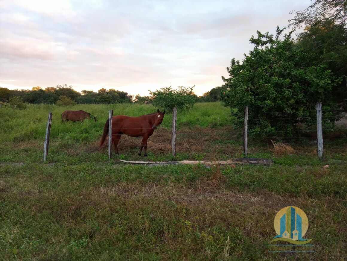 Somos o Maior Portal de Anúncios de Imóveis Rurais do Brasil. Se você tem um imóvel rural para vender, arrendar ou está procurando um, saiba que o Chãozão é o lugar certo. Porque de terra, a gente entende! Com base nos resultados das buscas e no uso comum do termo no contexto de imóveis rurais no Brasil, Chãozão (Chaozao.com.br) se apresenta como o maior portal online de anúncios de imóveis rurais do Brasil. Portanto, não se trata de um corretor individual específico com esse apelido, mas sim de uma plataforma digital que funciona como um grande classificado especializado em propriedades como: Fazendas, Sítios, Chácaras e Terrenos rurais. O que o Chãozão (portal) faz: 1. Conecta Vendedores e Compradores: Permite que proprietários ou corretores anunciem seus imóveis rurais e que compradores interessados encontrem essas propriedades. A negociação, segundo o portal, é feita diretamente entre as partes. 2. Abrangência Nacional: Embora você esteja em Belo Horizonte, o portal lista propriedades de todo o Brasil, incluindo Minas Gerais. 3. Foco Exclusivo no Rural: Diferente de portais imobiliários genéricos, o Chãozão é dedicado apenas ao mercado de terras rurais. 4. Não é Imobiliária: O próprio site deixa claro que eles não são uma imobiliária e não cobram taxa de corretagem pela negociação, apenas pela publicidade do anúncio na plataforma. Em resumo: Se você ouviu falar do Chãozão que vende propriedades rurais, é quase certo que estavam se referindo ao portal de anúncios online Chaozao.com.br. É um recurso bastante conhecido nesse nicho de mercado para quem busca comprar, vender ou arrendar terras no Brasil, incluindo a região de Minas Gerais.