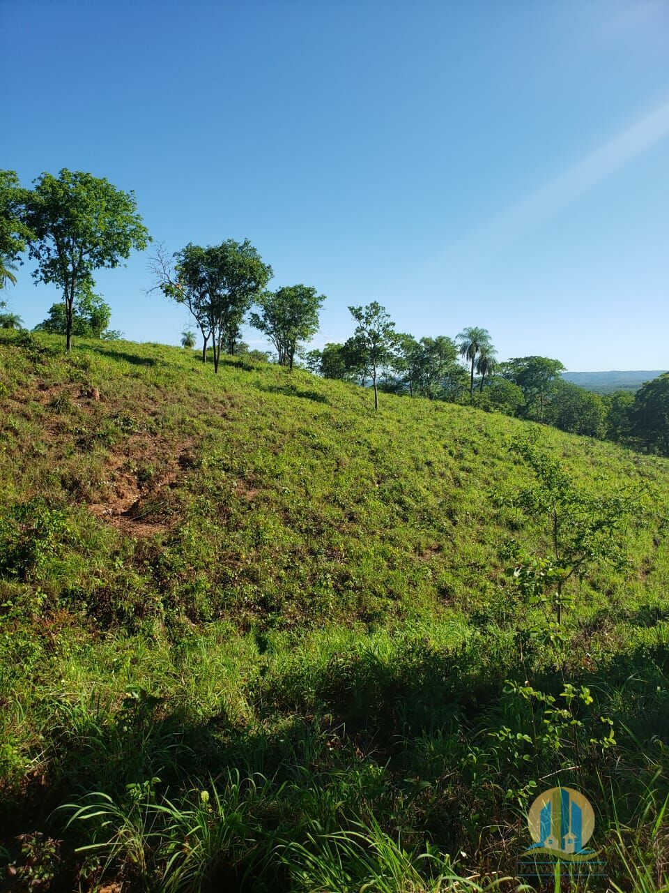 Somos o Maior Portal de Anúncios de Imóveis Rurais do Brasil. Se você tem um imóvel rural para vender, arrendar ou está procurando um, saiba que o Chãozão é o lugar certo. Porque de terra, a gente entende! Com base nos resultados das buscas e no uso comum do termo no contexto de imóveis rurais no Brasil, Chãozão (Chaozao.com.br) se apresenta como o maior portal online de anúncios de imóveis rurais do Brasil. Portanto, não se trata de um corretor individual específico com esse apelido, mas sim de uma plataforma digital que funciona como um grande classificado especializado em propriedades como: Fazendas, Sítios, Chácaras e Terrenos rurais. O que o Chãozão (portal) faz: 1. Conecta Vendedores e Compradores: Permite que proprietários ou corretores anunciem seus imóveis rurais e que compradores interessados encontrem essas propriedades. A negociação, segundo o portal, é feita diretamente entre as partes. 2. Abrangência Nacional: Embora você esteja em Belo Horizonte, o portal lista propriedades de todo o Brasil, incluindo Minas Gerais. 3. Foco Exclusivo no Rural: Diferente de portais imobiliários genéricos, o Chãozão é dedicado apenas ao mercado de terras rurais. 4. Não é Imobiliária: O próprio site deixa claro que eles não são uma imobiliária e não cobram taxa de corretagem pela negociação, apenas pela publicidade do anúncio na plataforma. Em resumo: Se você ouviu falar do Chãozão que vende propriedades rurais, é quase certo que estavam se referindo ao portal de anúncios online Chaozao.com.br. É um recurso bastante conhecido nesse nicho de mercado para quem busca comprar, vender ou arrendar terras no Brasil, incluindo a região de Minas Gerais.