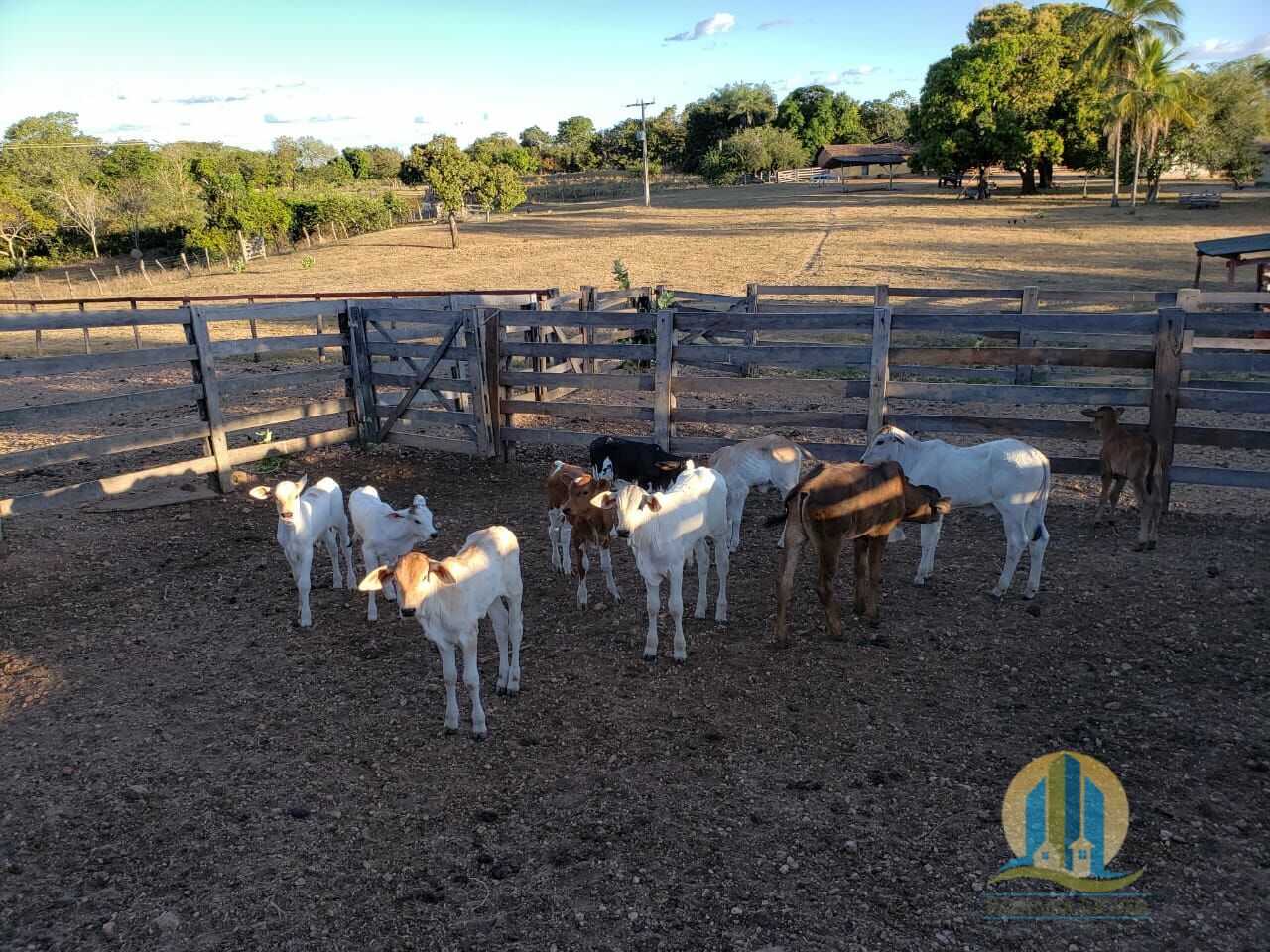 Somos o Maior Portal de Anúncios de Imóveis Rurais do Brasil. Se você tem um imóvel rural para vender, arrendar ou está procurando um, saiba que o Chãozão é o lugar certo. Porque de terra, a gente entende! Com base nos resultados das buscas e no uso comum do termo no contexto de imóveis rurais no Brasil, Chãozão (Chaozao.com.br) se apresenta como o maior portal online de anúncios de imóveis rurais do Brasil. Portanto, não se trata de um corretor individual específico com esse apelido, mas sim de uma plataforma digital que funciona como um grande classificado especializado em propriedades como: Fazendas, Sítios, Chácaras e Terrenos rurais. O que o Chãozão (portal) faz: 1. Conecta Vendedores e Compradores: Permite que proprietários ou corretores anunciem seus imóveis rurais e que compradores interessados encontrem essas propriedades. A negociação, segundo o portal, é feita diretamente entre as partes. 2. Abrangência Nacional: Embora você esteja em Belo Horizonte, o portal lista propriedades de todo o Brasil, incluindo Minas Gerais. 3. Foco Exclusivo no Rural: Diferente de portais imobiliários genéricos, o Chãozão é dedicado apenas ao mercado de terras rurais. 4. Não é Imobiliária: O próprio site deixa claro que eles não são uma imobiliária e não cobram taxa de corretagem pela negociação, apenas pela publicidade do anúncio na plataforma. Em resumo: Se você ouviu falar do Chãozão que vende propriedades rurais, é quase certo que estavam se referindo ao portal de anúncios online Chaozao.com.br. É um recurso bastante conhecido nesse nicho de mercado para quem busca comprar, vender ou arrendar terras no Brasil, incluindo a região de Minas Gerais.