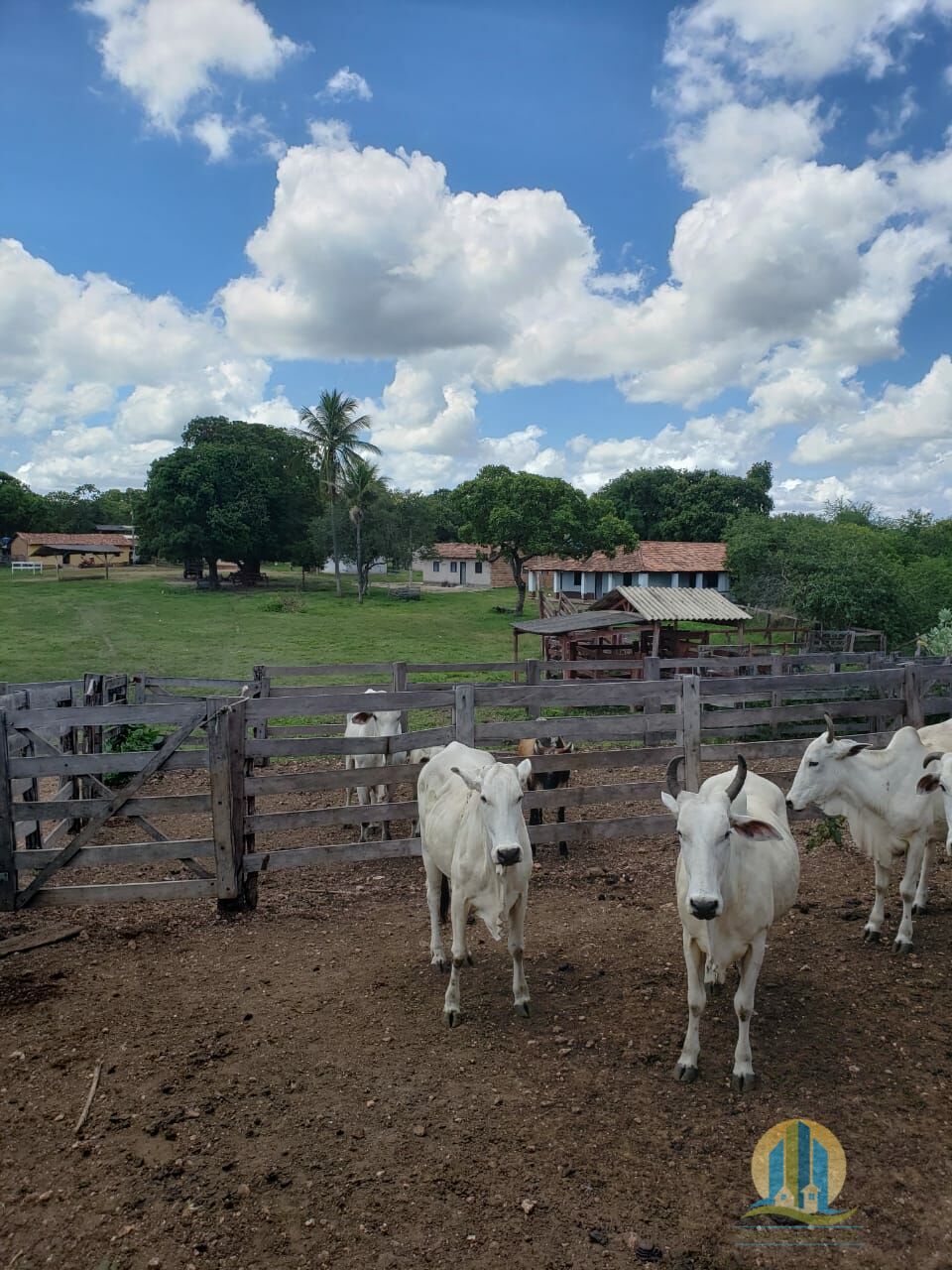 Somos o Maior Portal de Anúncios de Imóveis Rurais do Brasil. Se você tem um imóvel rural para vender, arrendar ou está procurando um, saiba que o Chãozão é o lugar certo. Porque de terra, a gente entende! Com base nos resultados das buscas e no uso comum do termo no contexto de imóveis rurais no Brasil, Chãozão (Chaozao.com.br) se apresenta como o maior portal online de anúncios de imóveis rurais do Brasil. Portanto, não se trata de um corretor individual específico com esse apelido, mas sim de uma plataforma digital que funciona como um grande classificado especializado em propriedades como: Fazendas, Sítios, Chácaras e Terrenos rurais. O que o Chãozão (portal) faz: 1. Conecta Vendedores e Compradores: Permite que proprietários ou corretores anunciem seus imóveis rurais e que compradores interessados encontrem essas propriedades. A negociação, segundo o portal, é feita diretamente entre as partes. 2. Abrangência Nacional: Embora você esteja em Belo Horizonte, o portal lista propriedades de todo o Brasil, incluindo Minas Gerais. 3. Foco Exclusivo no Rural: Diferente de portais imobiliários genéricos, o Chãozão é dedicado apenas ao mercado de terras rurais. 4. Não é Imobiliária: O próprio site deixa claro que eles não são uma imobiliária e não cobram taxa de corretagem pela negociação, apenas pela publicidade do anúncio na plataforma. Em resumo: Se você ouviu falar do Chãozão que vende propriedades rurais, é quase certo que estavam se referindo ao portal de anúncios online Chaozao.com.br. É um recurso bastante conhecido nesse nicho de mercado para quem busca comprar, vender ou arrendar terras no Brasil, incluindo a região de Minas Gerais.
