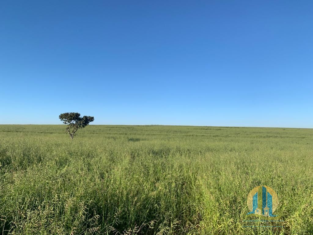 Fazenda em Mineiros/Goiás — Ref IJPS2Q — Imagem 11