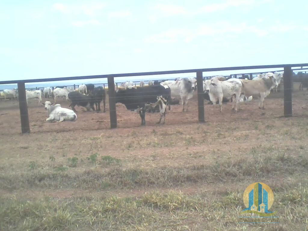 Fazenda em Mineiros/Goiás — Ref IJPS2Q — Imagem 14