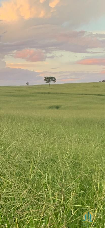 Fazenda em Mineiros/Goiás — Ref IJPS2Q — Imagem 10