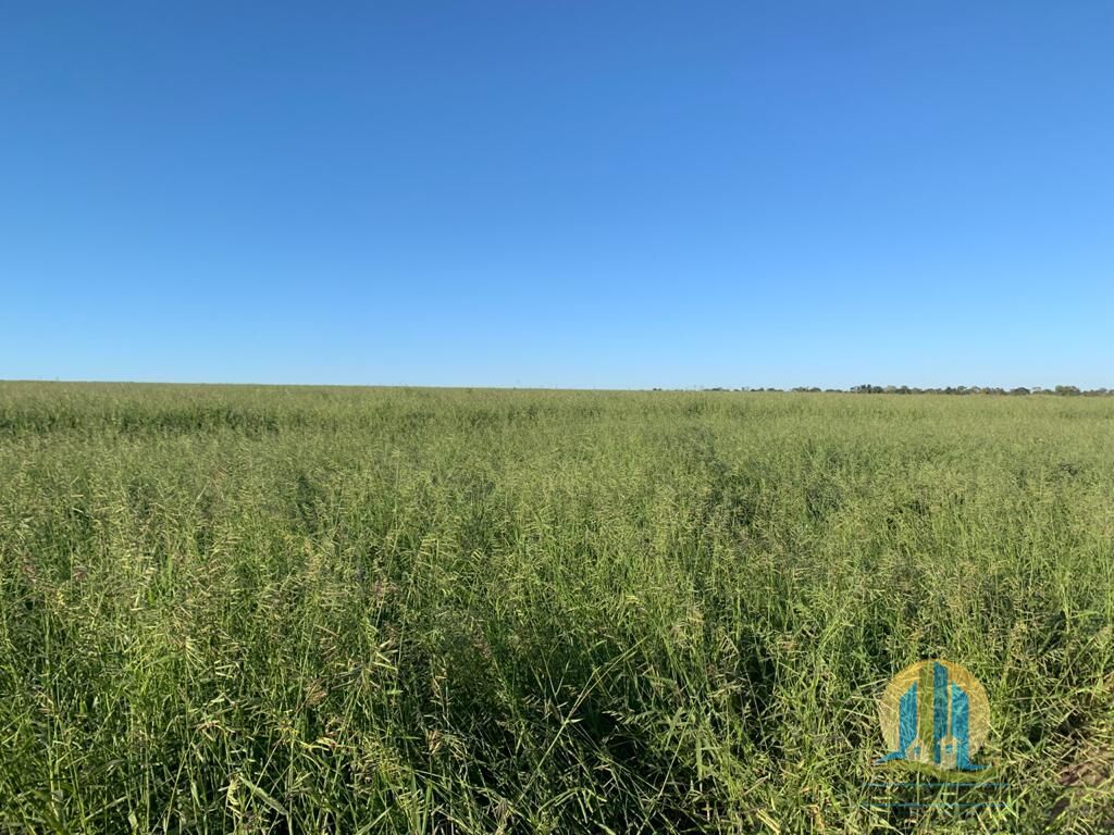 Fazenda em Mineiros/Goiás — Ref IJPS2Q — Imagem 12