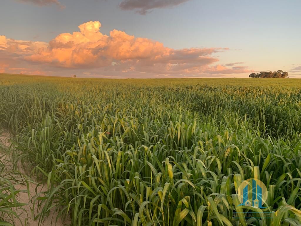Fazenda em Mineiros/Goiás — Ref IJPS2Q — Imagem 2