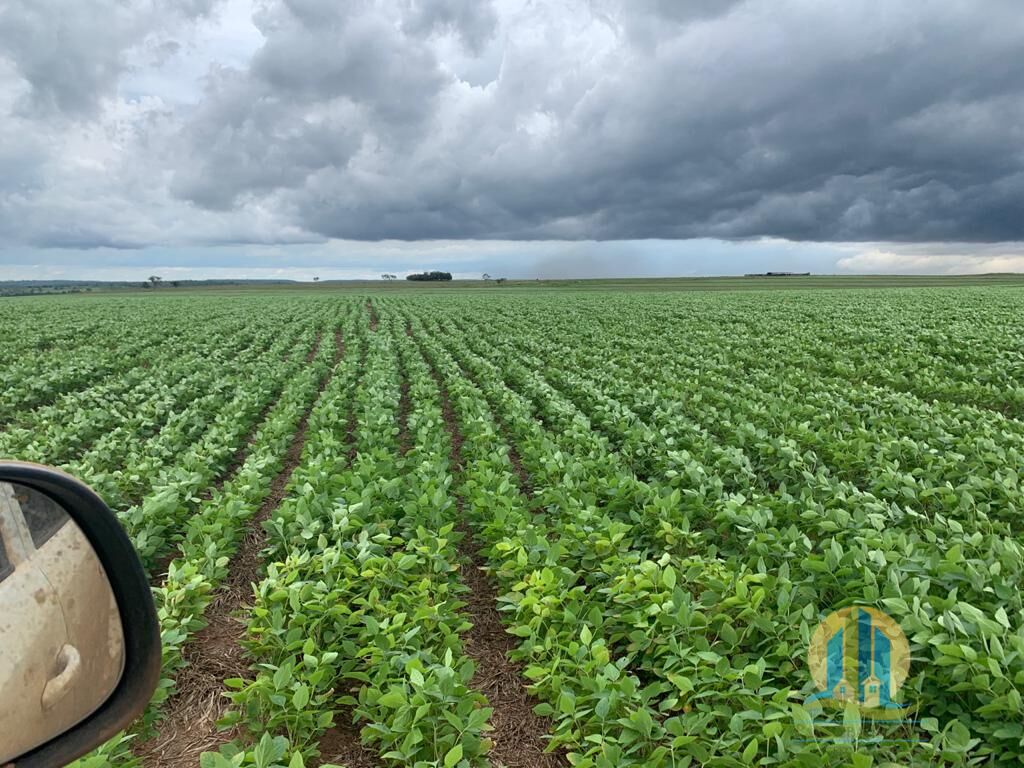 Fazenda em Mineiros/Goiás — Ref IJPS2Q — Imagem 4