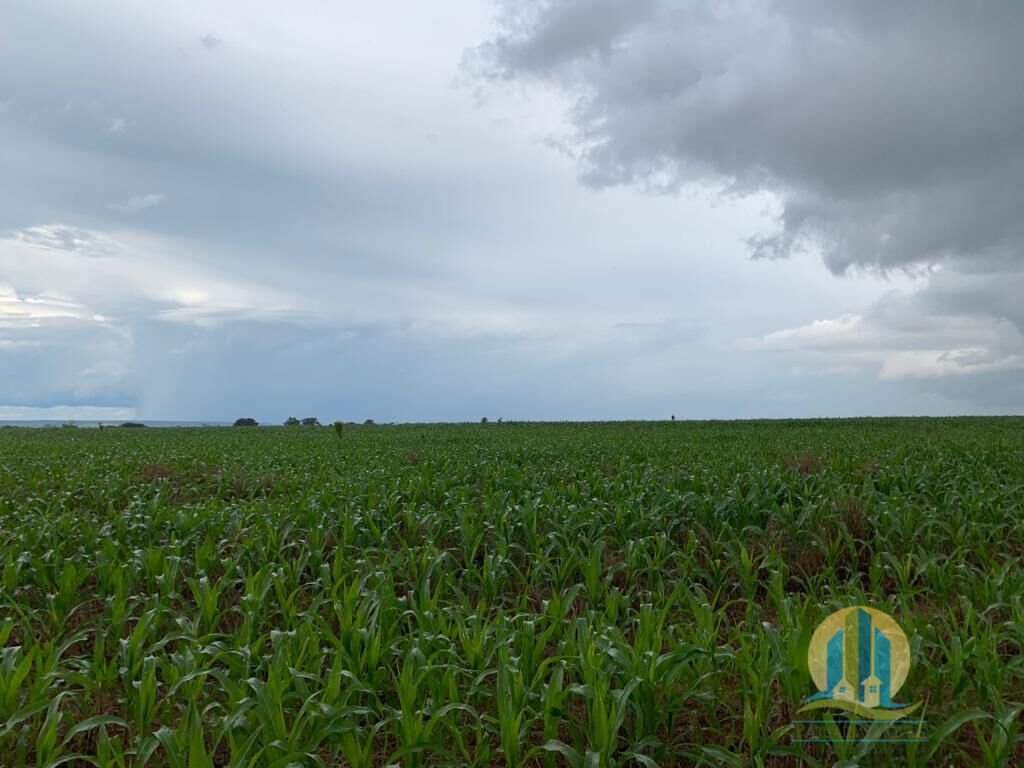 Fazenda em Mineiros/Goiás — Ref IJPS2Q — Imagem 5