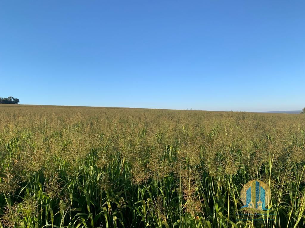 Fazenda em Mineiros/Goiás — Ref IJPS2Q — Imagem 3