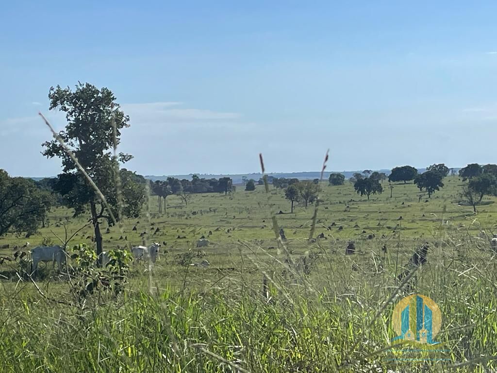 Fazenda em Inocência/Mato Grosso do Sul — Ref 2W1531 — Imagem 10