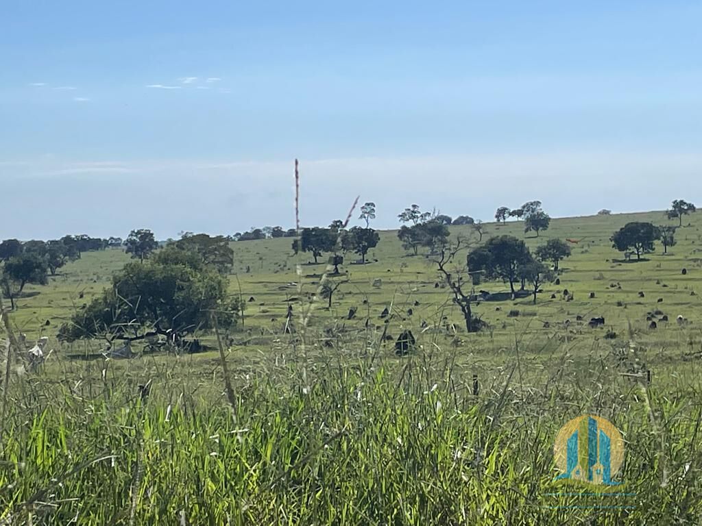 Fazenda em Inocência/Mato Grosso do Sul — Ref 2W1531 — Imagem 8