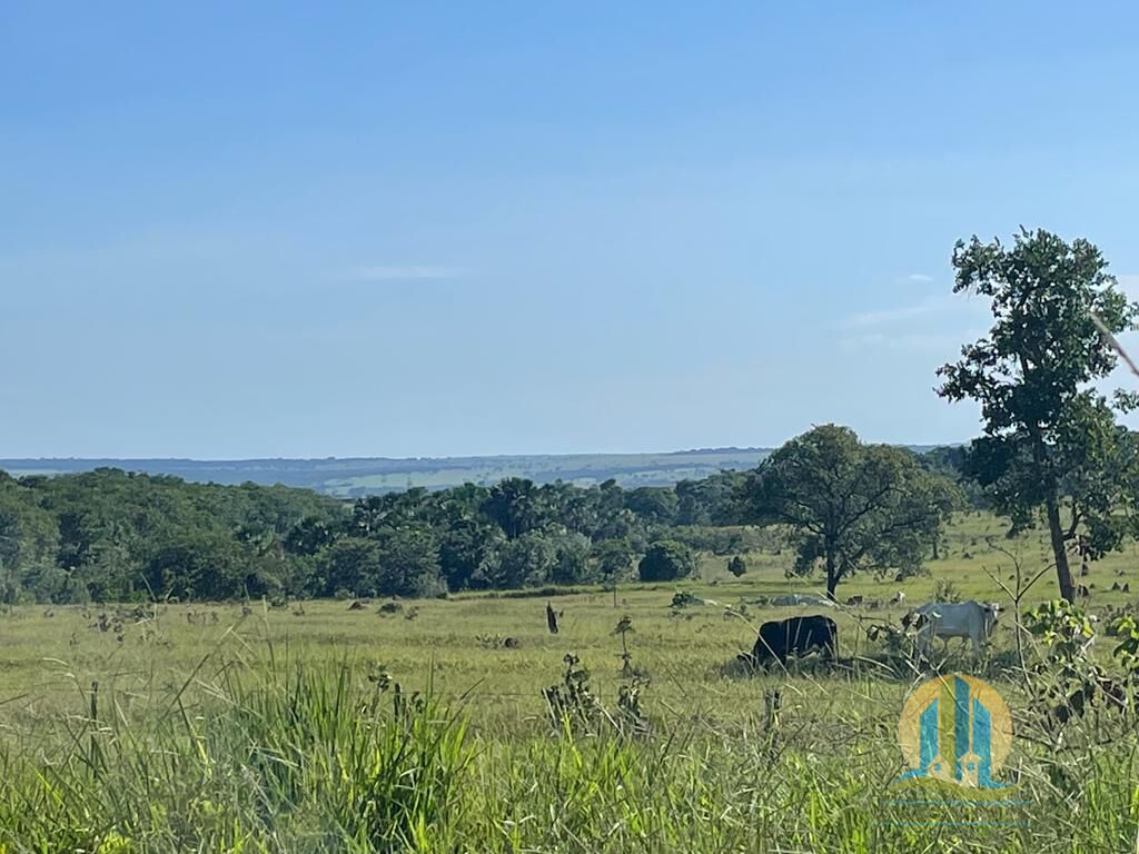 Fazenda em Inocência/Mato Grosso do Sul — Ref 2W1531 — Imagem 9