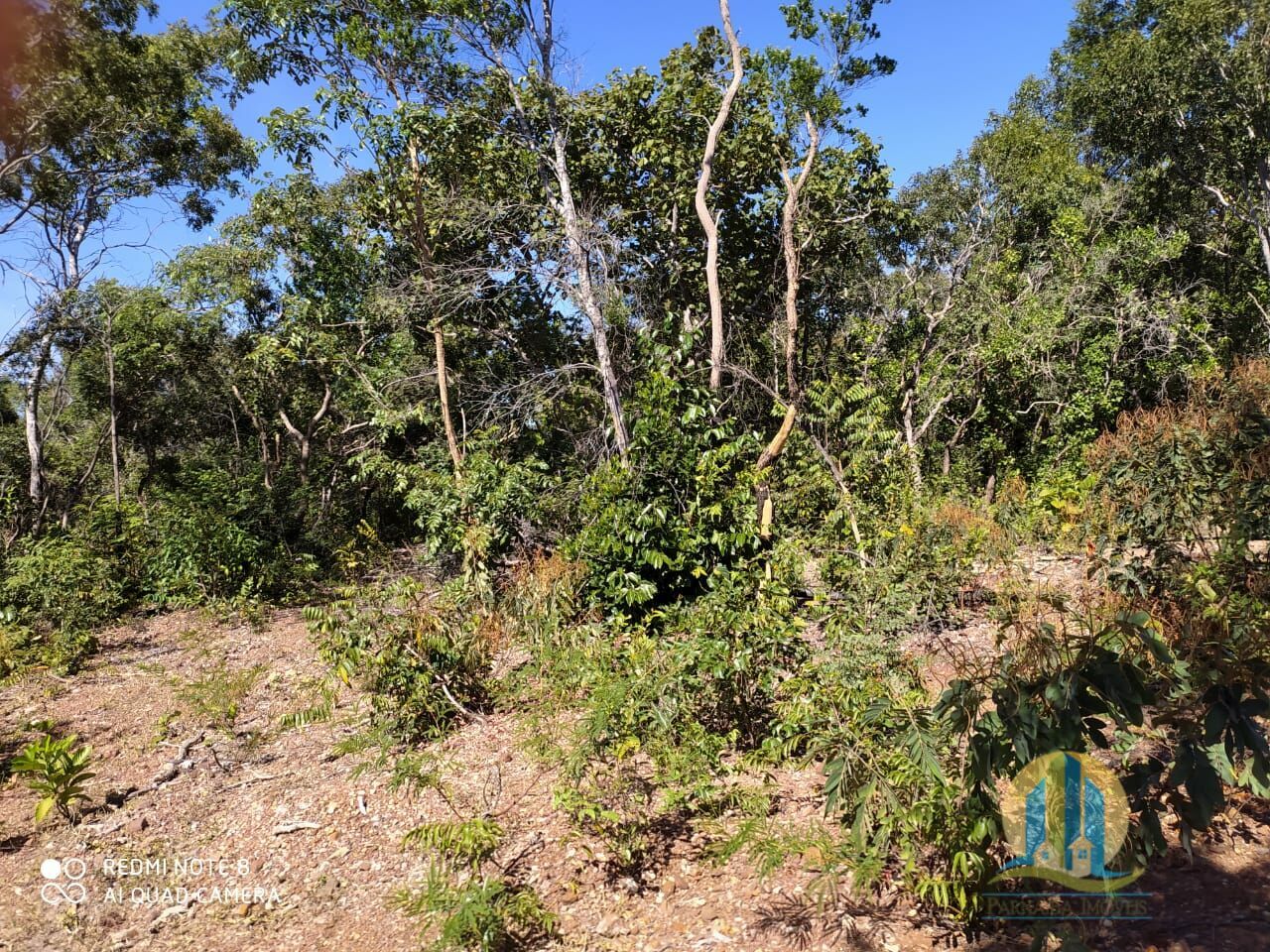 Fazenda em Paranã/Tocantins — Ref HFUG6D — Imagem 7