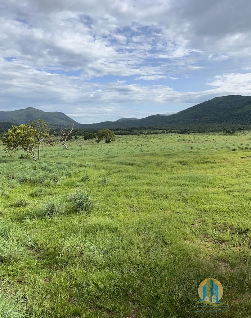 Fazenda em Braúnas/Minas Gerais — Ref 8HSMP8 — Imagem 3