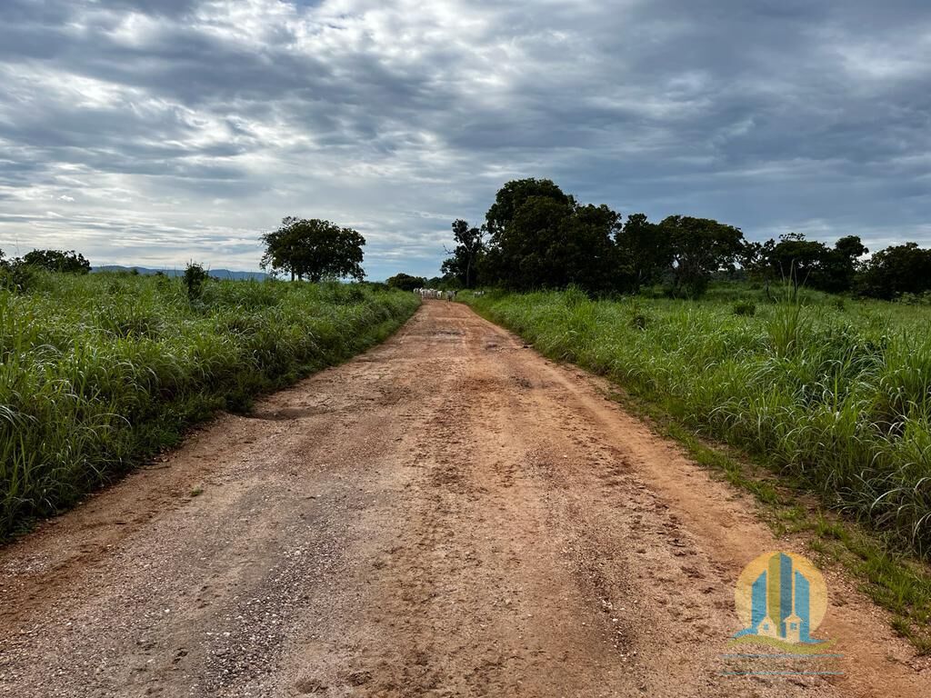 Fazenda em Braúnas/Minas Gerais — Ref 8HSMP8 — Imagem 2