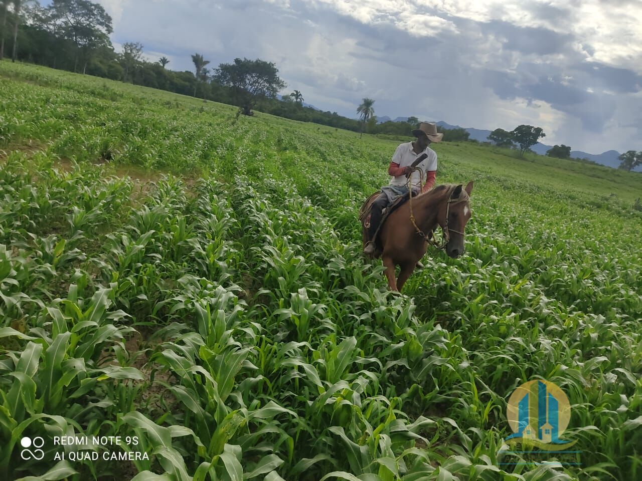 Fazenda em Braúnas/Minas Gerais — Ref 8HSMP8 — Imagem 6