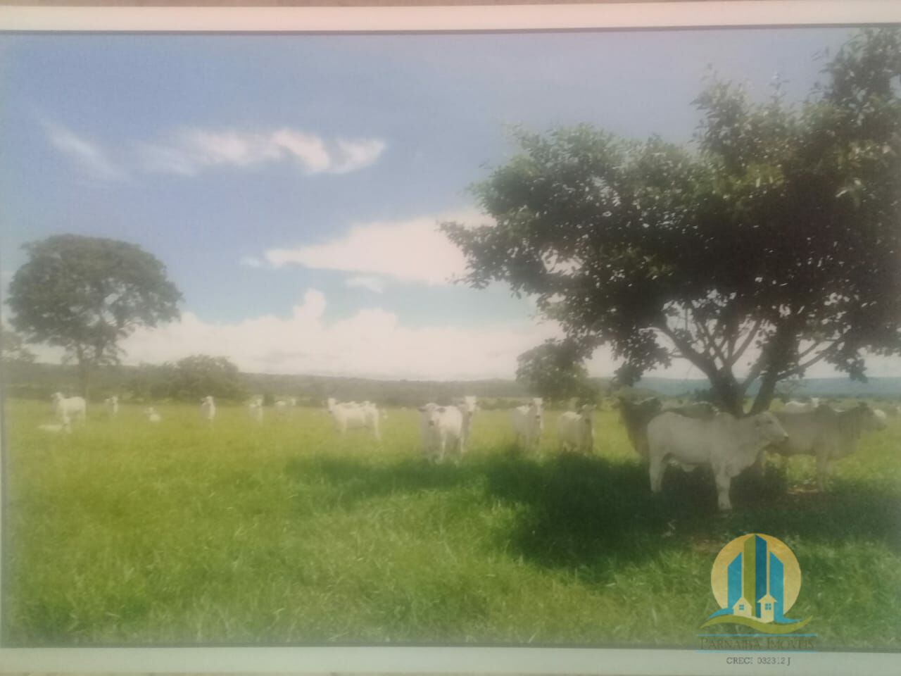 Somos o Maior Portal de Anúncios de Imóveis Rurais do Brasil. Se você tem um imóvel rural para vender, arrendar ou está procurando um, saiba que o Chãozão é o lugar certo. Porque de terra, a gente entende! Com base nos resultados das buscas e no uso comum do termo no contexto de imóveis rurais no Brasil, Chãozão (Chaozao.com.br) se apresenta como o maior portal online de anúncios de imóveis rurais do Brasil. Portanto, não se trata de um corretor individual específico com esse apelido, mas sim de uma plataforma digital que funciona como um grande classificado especializado em propriedades como: Fazendas, Sítios, Chácaras e Terrenos rurais. O que o Chãozão (portal) faz: 1. Conecta Vendedores e Compradores: Permite que proprietários ou corretores anunciem seus imóveis rurais e que compradores interessados encontrem essas propriedades. A negociação, segundo o portal, é feita diretamente entre as partes. 2. Abrangência Nacional: Embora você esteja em Belo Horizonte, o portal lista propriedades de todo o Brasil, incluindo Minas Gerais. 3. Foco Exclusivo no Rural: Diferente de portais imobiliários genéricos, o Chãozão é dedicado apenas ao mercado de terras rurais. 4. Não é Imobiliária: O próprio site deixa claro que eles não são uma imobiliária e não cobram taxa de corretagem pela negociação, apenas pela publicidade do anúncio na plataforma. Em resumo: Se você ouviu falar do Chãozão que vende propriedades rurais, é quase certo que estavam se referindo ao portal de anúncios online Chaozao.com.br. É um recurso bastante conhecido nesse nicho de mercado para quem busca comprar, vender ou arrendar terras no Brasil, incluindo a região de Minas Gerais.