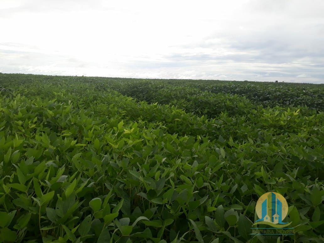 Fazenda em Santana do Araguaia/Pará — Ref 4W783A — Imagem 3