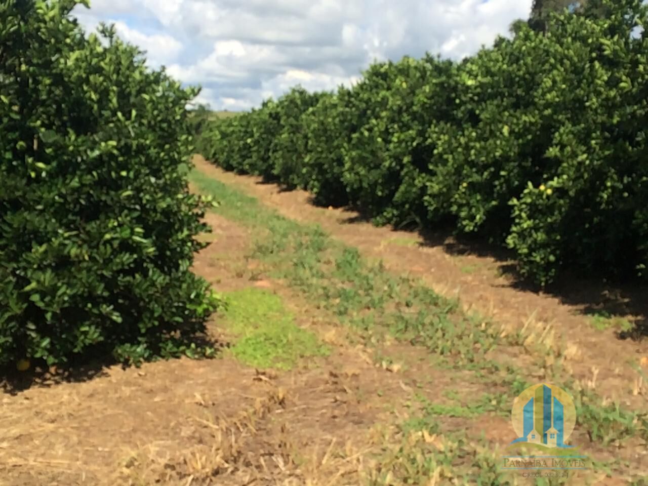 Fazenda em Marília/São Paulo — Ref 2PZG5A — Imagem 2