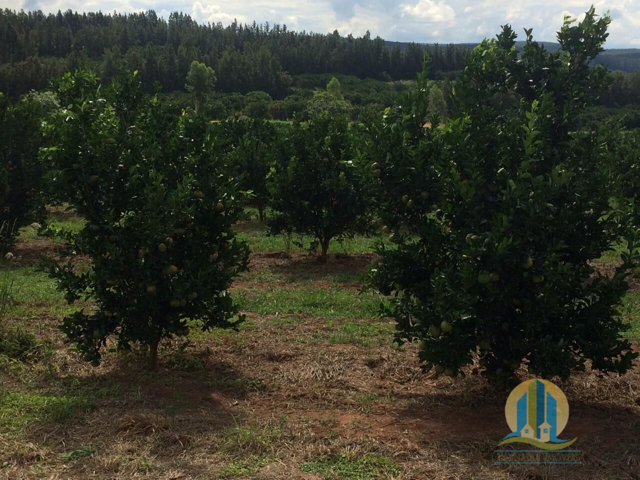 Fazenda em Marília/São Paulo — Ref 2PZG5A — Imagem 3