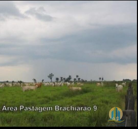 Fazenda em Araguaína/Tocantins — Ref OVIIB5 — Imagem 4