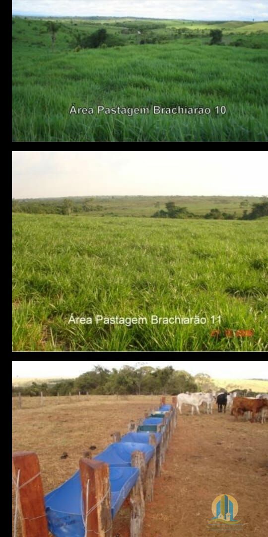 Fazenda em Araguaína/Tocantins — Ref OVIIB5 — Imagem 14
