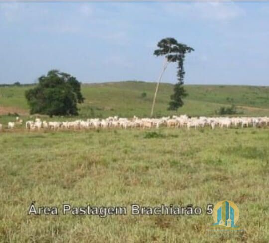 Fazenda em Araguaína/Tocantins — Ref OVIIB5 — Imagem 2