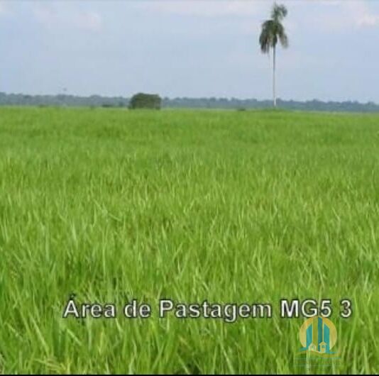 Fazenda em Araguaína/Tocantins — Ref OVIIB5 — Imagem 12