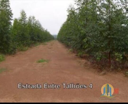 Fazenda em Araguaína/Tocantins — Ref OVIIB5 — Imagem 11