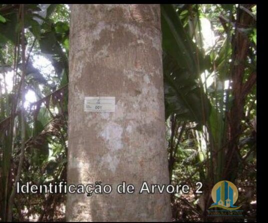 Fazenda em Araguaína/Tocantins — Ref OVIIB5 — Imagem 26