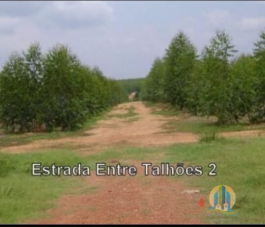 Fazenda em Araguaína/Tocantins — Ref OVIIB5 — Imagem 7