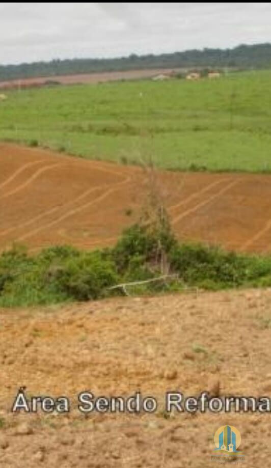 Fazenda em Araguaína/Tocantins — Ref OVIIB5 — Imagem 6