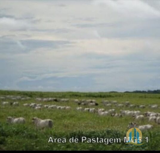 Fazenda em Araguaína/Tocantins — Ref OVIIB5 — Imagem 3