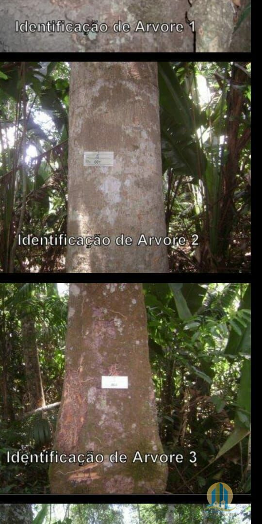 Fazenda em Araguaína/Tocantins — Ref OVIIB5 — Imagem 25