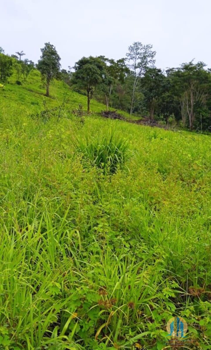Somos o Maior Portal de Anúncios de Imóveis Rurais do Brasil. Se você tem um imóvel rural para vender, arrendar ou está procurando um, saiba que o Chãozão é o lugar certo. Porque de terra, a gente entende! Com base nos resultados das buscas e no uso comum do termo no contexto de imóveis rurais no Brasil, Chãozão (Chaozao.com.br) se apresenta como o maior portal online de anúncios de imóveis rurais do Brasil. Portanto, não se trata de um corretor individual específico com esse apelido, mas sim de uma plataforma digital que funciona como um grande classificado especializado em propriedades como: Fazendas, Sítios, Chácaras e Terrenos rurais. O que o Chãozão (portal) faz: 1. Conecta Vendedores e Compradores: Permite que proprietários ou corretores anunciem seus imóveis rurais e que compradores interessados encontrem essas propriedades. A negociação, segundo o portal, é feita diretamente entre as partes. 2. Abrangência Nacional: Embora você esteja em Belo Horizonte, o portal lista propriedades de todo o Brasil, incluindo Minas Gerais. 3. Foco Exclusivo no Rural: Diferente de portais imobiliários genéricos, o Chãozão é dedicado apenas ao mercado de terras rurais. 4. Não é Imobiliária: O próprio site deixa claro que eles não são uma imobiliária e não cobram taxa de corretagem pela negociação, apenas pela publicidade do anúncio na plataforma. Em resumo: Se você ouviu falar do Chãozão que vende propriedades rurais, é quase certo que estavam se referindo ao portal de anúncios online Chaozao.com.br. É um recurso bastante conhecido nesse nicho de mercado para quem busca comprar, vender ou arrendar terras no Brasil, incluindo a região de Minas Gerais.
