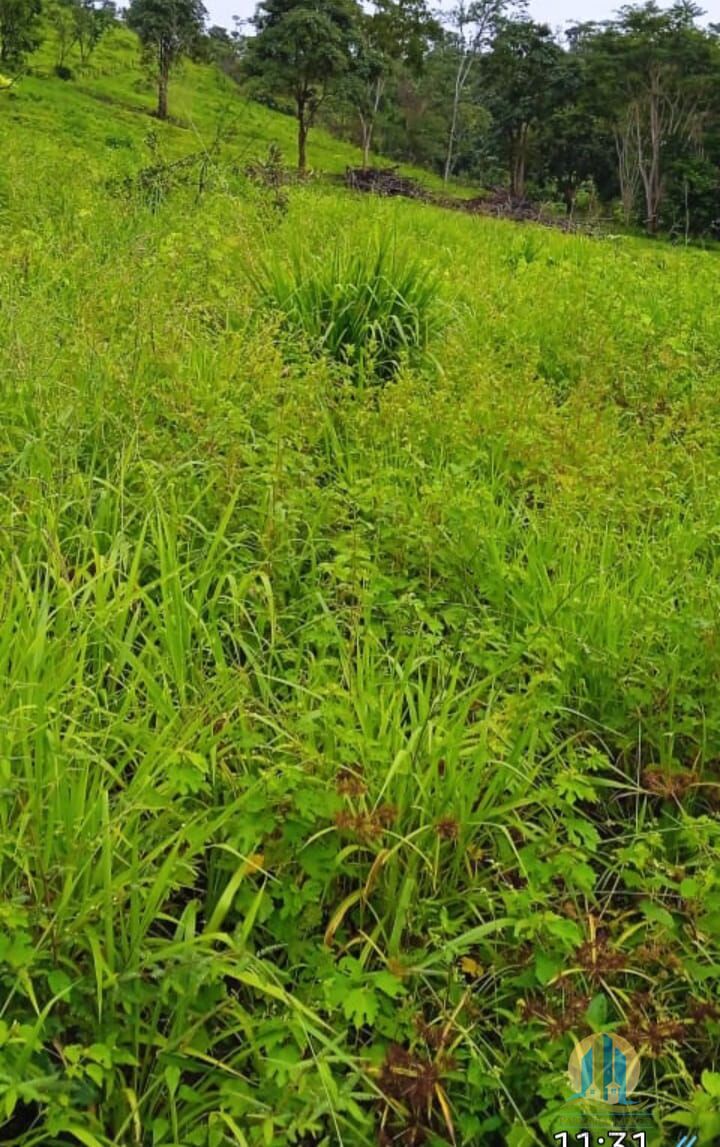 Somos o Maior Portal de Anúncios de Imóveis Rurais do Brasil. Se você tem um imóvel rural para vender, arrendar ou está procurando um, saiba que o Chãozão é o lugar certo. Porque de terra, a gente entende! Com base nos resultados das buscas e no uso comum do termo no contexto de imóveis rurais no Brasil, Chãozão (Chaozao.com.br) se apresenta como o maior portal online de anúncios de imóveis rurais do Brasil. Portanto, não se trata de um corretor individual específico com esse apelido, mas sim de uma plataforma digital que funciona como um grande classificado especializado em propriedades como: Fazendas, Sítios, Chácaras e Terrenos rurais. O que o Chãozão (portal) faz: 1. Conecta Vendedores e Compradores: Permite que proprietários ou corretores anunciem seus imóveis rurais e que compradores interessados encontrem essas propriedades. A negociação, segundo o portal, é feita diretamente entre as partes. 2. Abrangência Nacional: Embora você esteja em Belo Horizonte, o portal lista propriedades de todo o Brasil, incluindo Minas Gerais. 3. Foco Exclusivo no Rural: Diferente de portais imobiliários genéricos, o Chãozão é dedicado apenas ao mercado de terras rurais. 4. Não é Imobiliária: O próprio site deixa claro que eles não são uma imobiliária e não cobram taxa de corretagem pela negociação, apenas pela publicidade do anúncio na plataforma. Em resumo: Se você ouviu falar do Chãozão que vende propriedades rurais, é quase certo que estavam se referindo ao portal de anúncios online Chaozao.com.br. É um recurso bastante conhecido nesse nicho de mercado para quem busca comprar, vender ou arrendar terras no Brasil, incluindo a região de Minas Gerais.