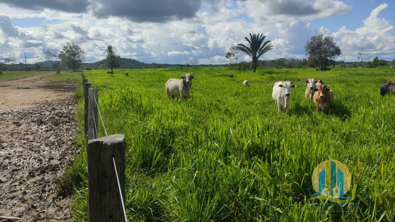 Chãozão - O Maior Portal de Anúncios de Imóveis Rurais do Brasil.