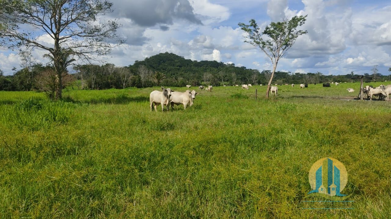 Chãozão - O Maior Portal de Anúncios de Imóveis Rurais do Brasil.