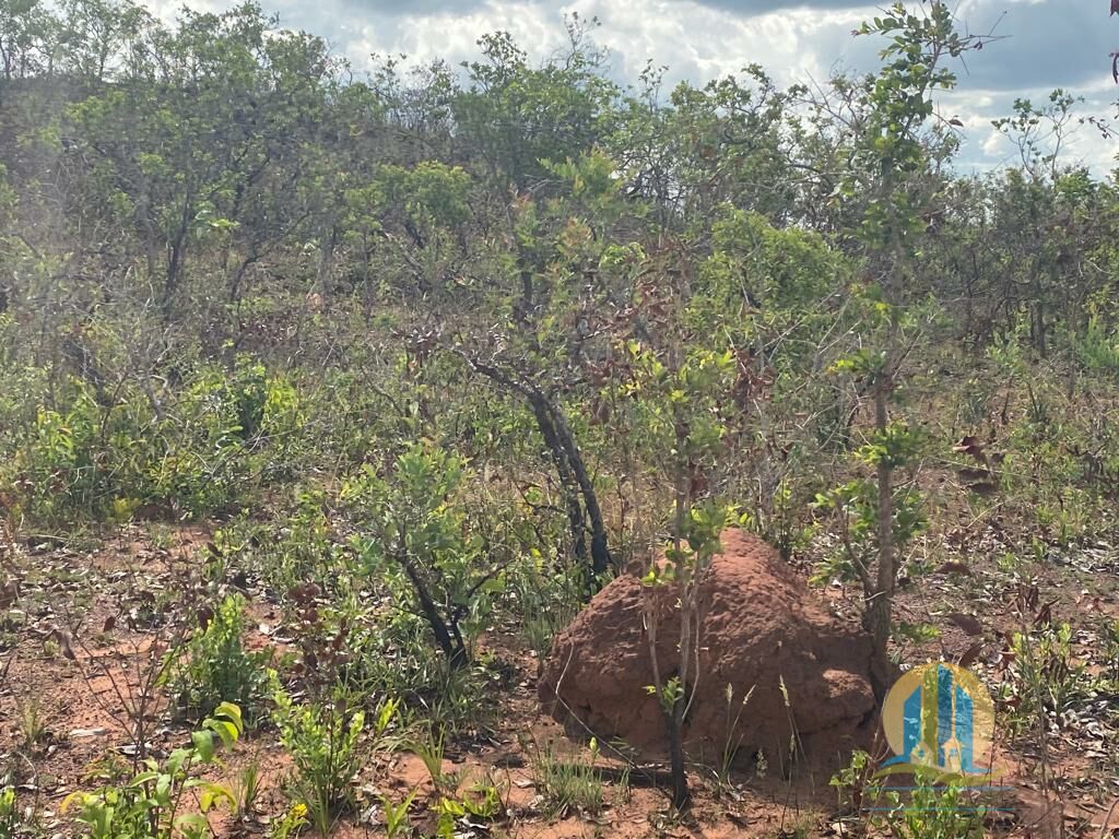 Fazenda em Ponte Alta do Tocantins/Tocantins — Ref AFN96B — Imagem 10