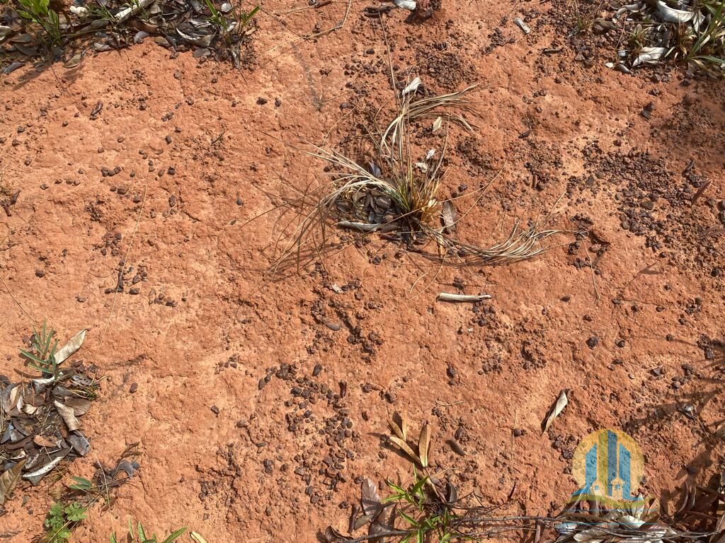 Fazenda em Ponte Alta do Tocantins/Tocantins — Ref AFN96B — Imagem 12