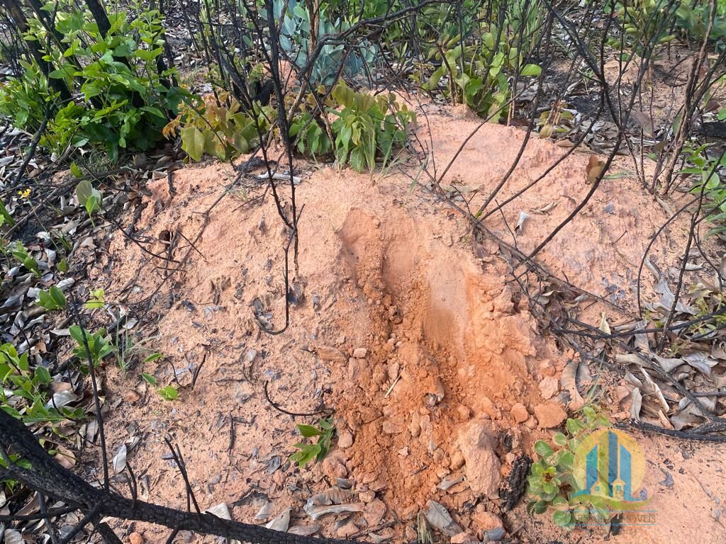 Fazenda em Ponte Alta do Tocantins/Tocantins — Ref AFN96B — Imagem 19