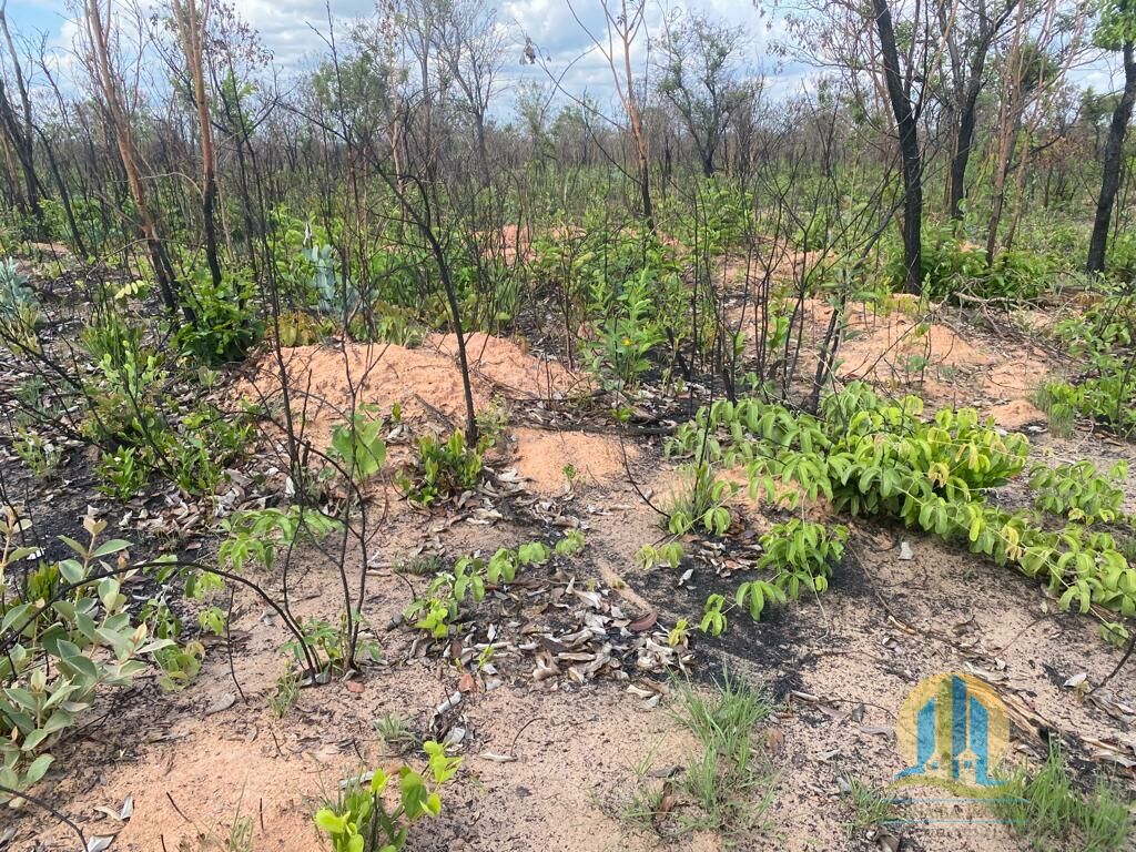 Fazenda em Ponte Alta do Tocantins/Tocantins — Ref AFN96B — Imagem 18