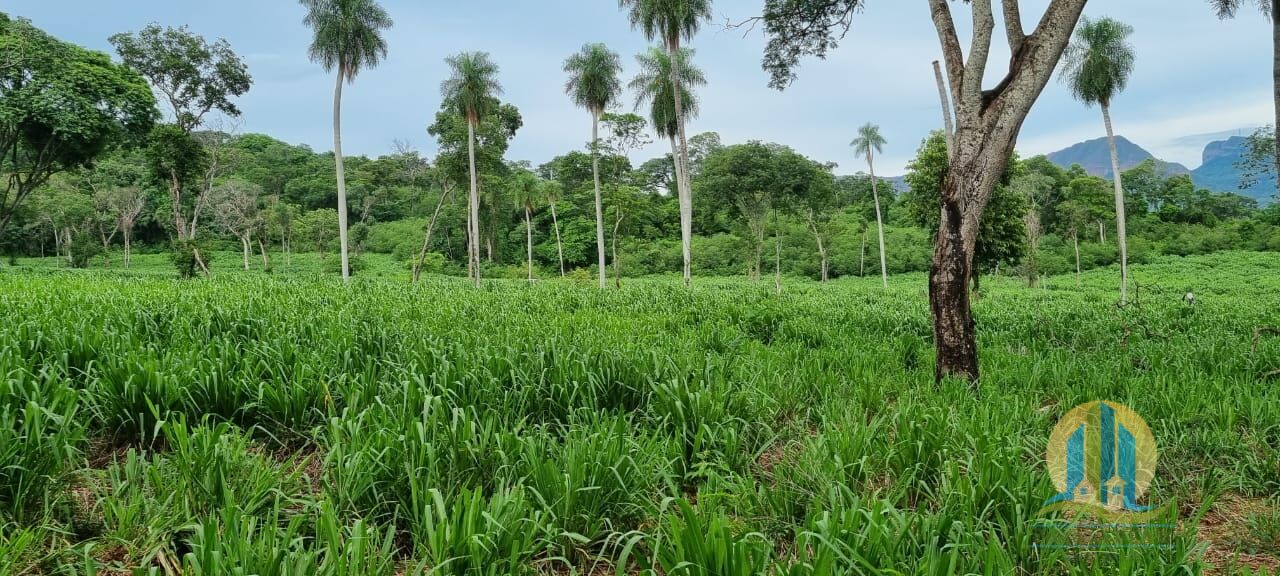 Fazenda em Corumbá/Mato Grosso do Sul — Ref WFZWB6 — Imagem 37