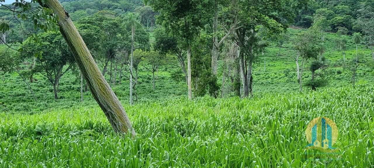 Fazenda em Corumbá/Mato Grosso do Sul — Ref WFZWB6 — Imagem 41