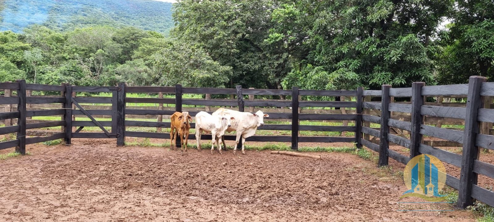 Fazenda em Corumbá/Mato Grosso do Sul — Ref WFZWB6 — Imagem 12