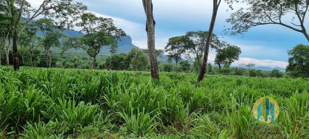 Fazenda em Corumbá/Mato Grosso do Sul — Ref WFZWB6 — Imagem 4